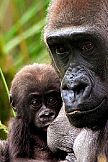 London Zoo